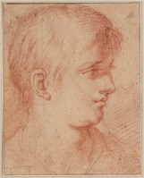 J 019
<br/>
Jongenskop, naar rechts ziend
<br/>
<em>Anoniem It (17de eeuw)</em>